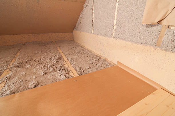 Best Insulation Removal  in Morenci, MI